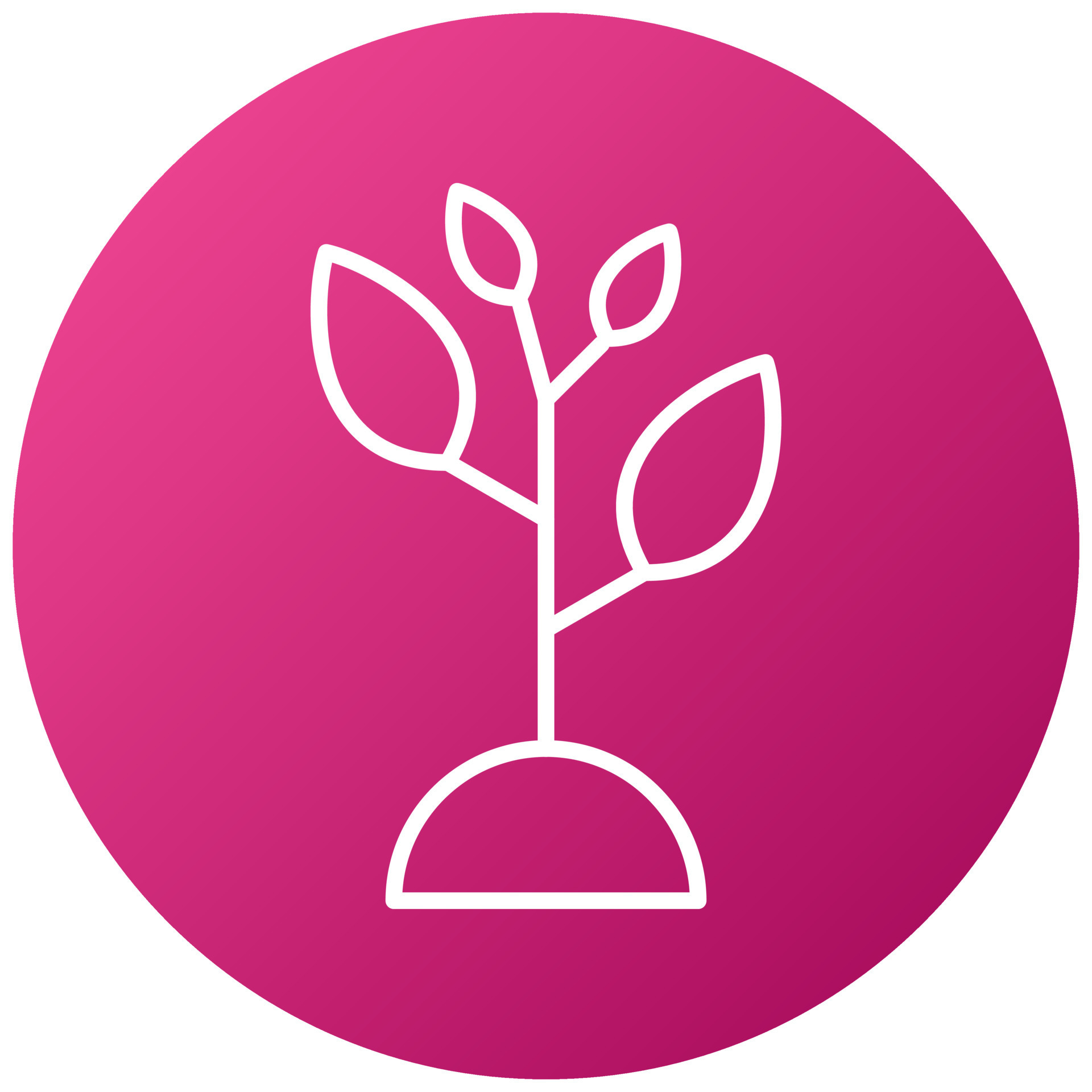 Agronomia